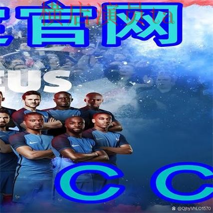 盘点分析世界杯买球网站：从平台排行到使用全流程解析 - 世界杯官方信息